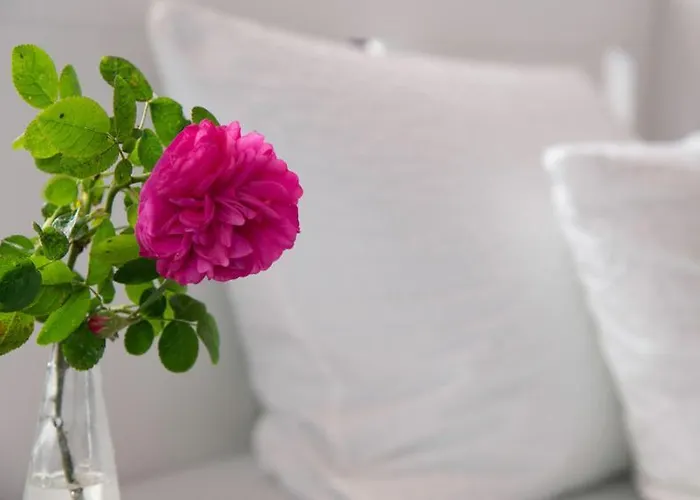 Birkenhof Family 酒店 *